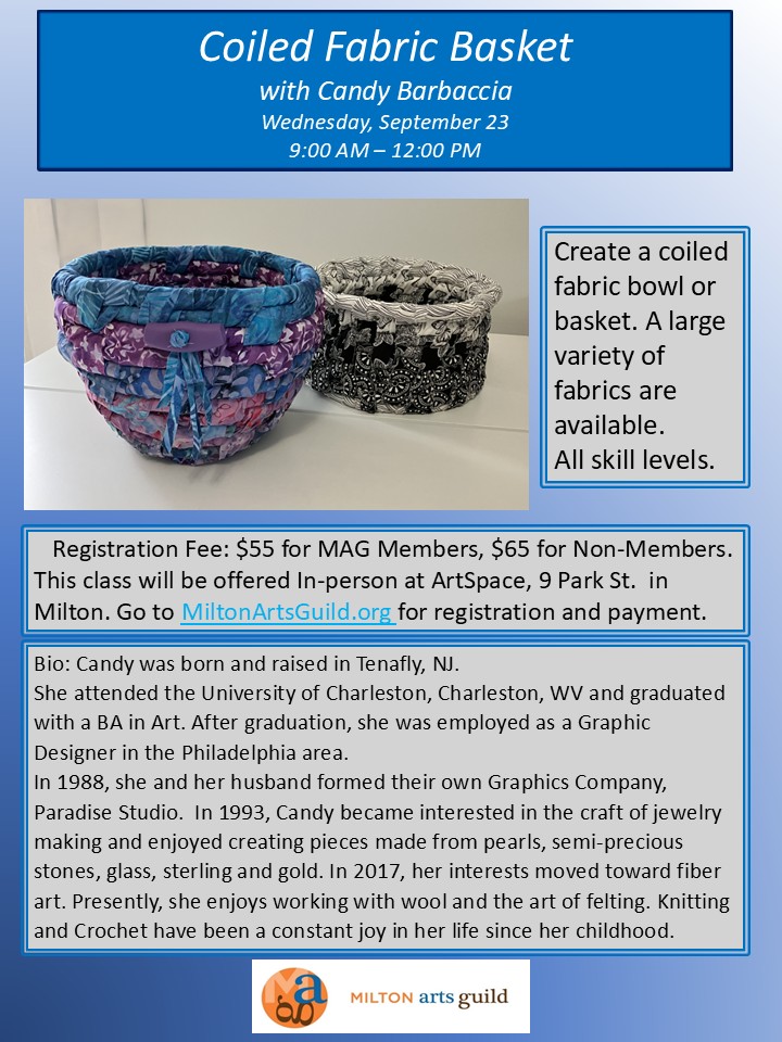Class: Coiled Fabric Basket - Image 2