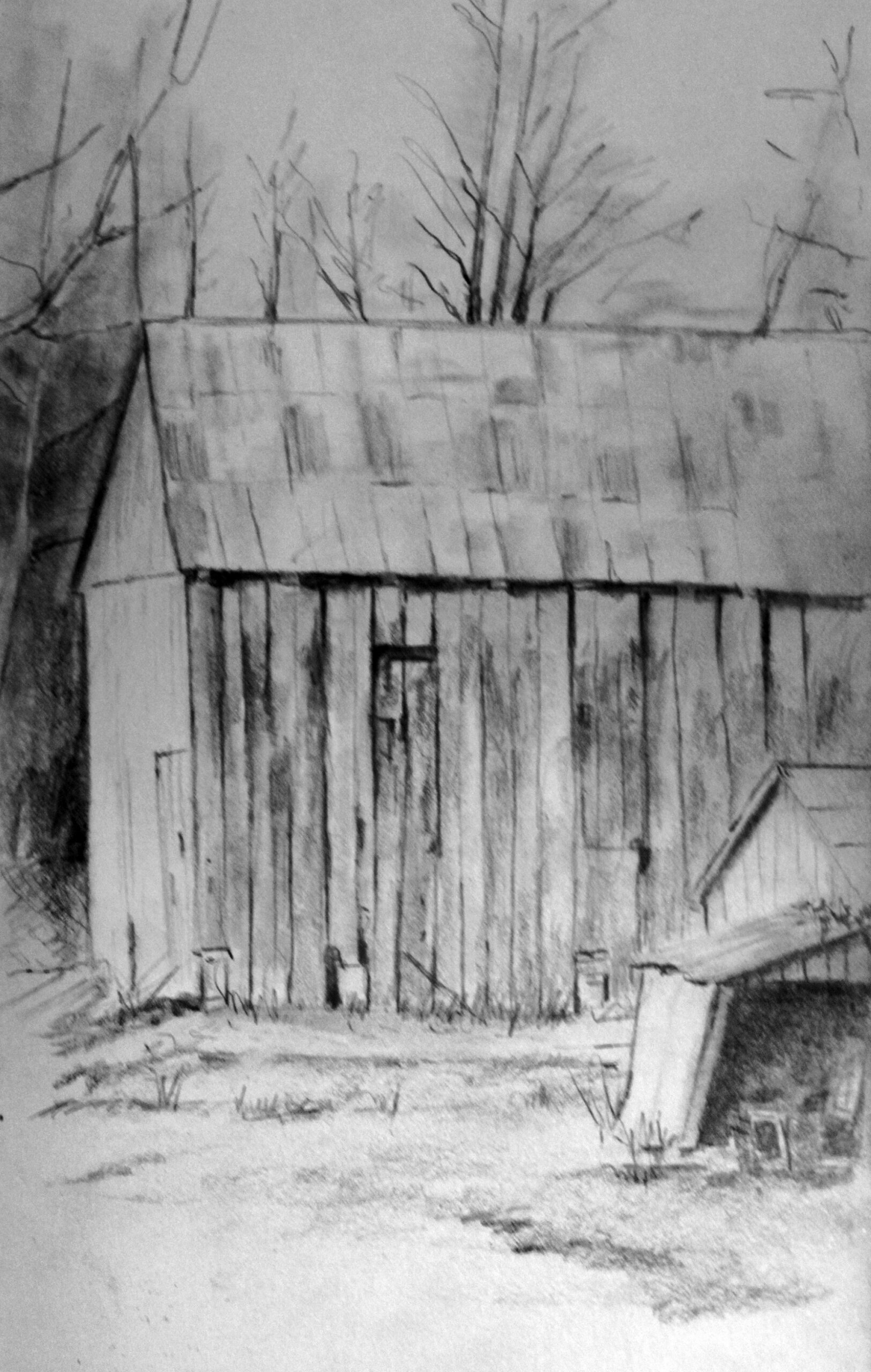 Class: Beginner Drawing - Image 2