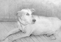 Class: Beginner Drawing - Image 4