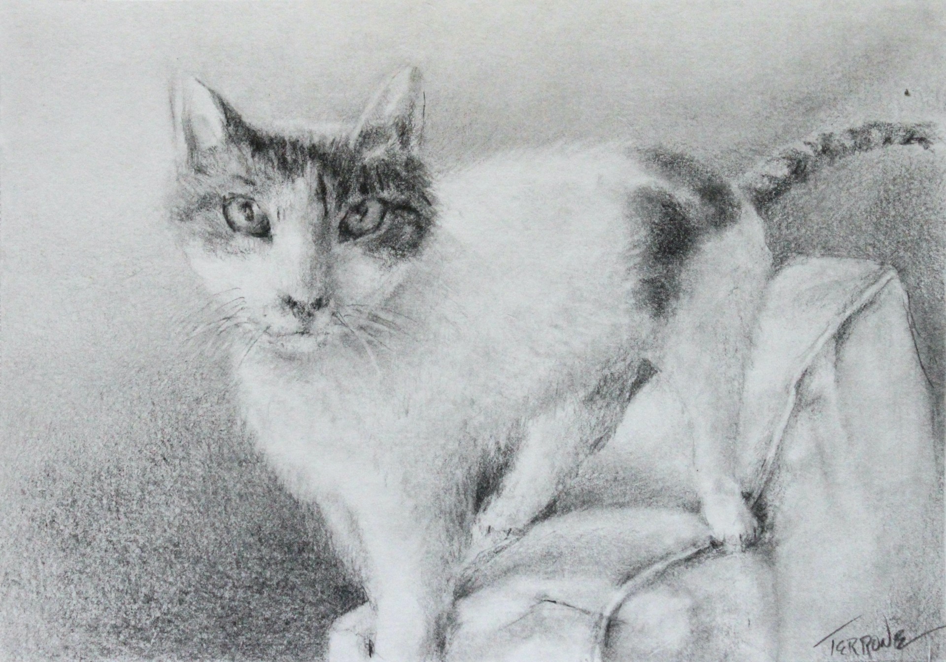 Class: Beginner Drawing - Image 5