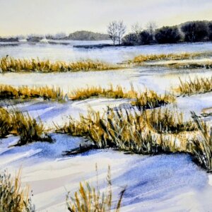 Class: Watercolor Local Marshes