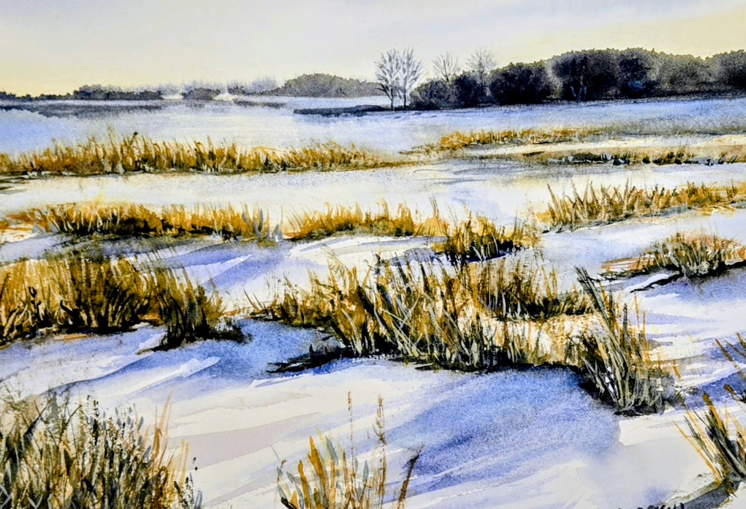 Class: Watercolor Local Marshes