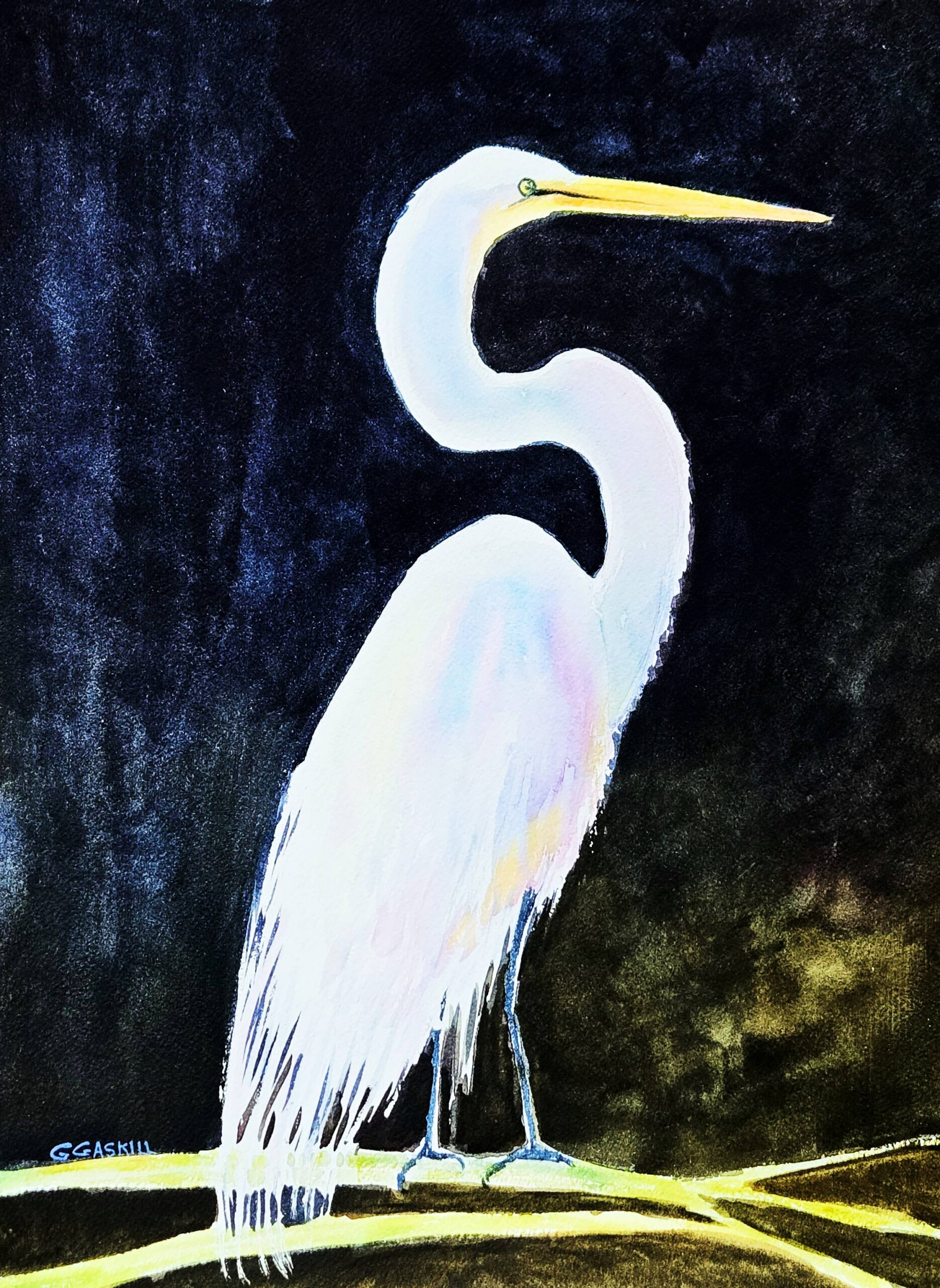 Class: Winter Birds